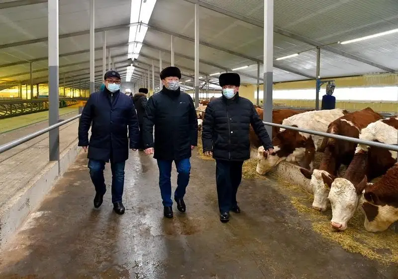 SQO Aıyrtaý aýdanynda sút fermasy iske qosyldy