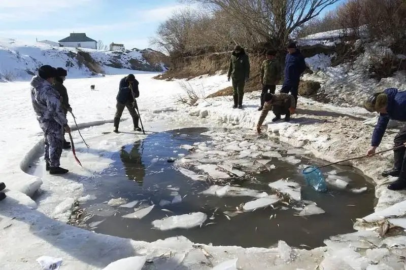 Замор рыбы произошел в реке Аягоз в ВКО
