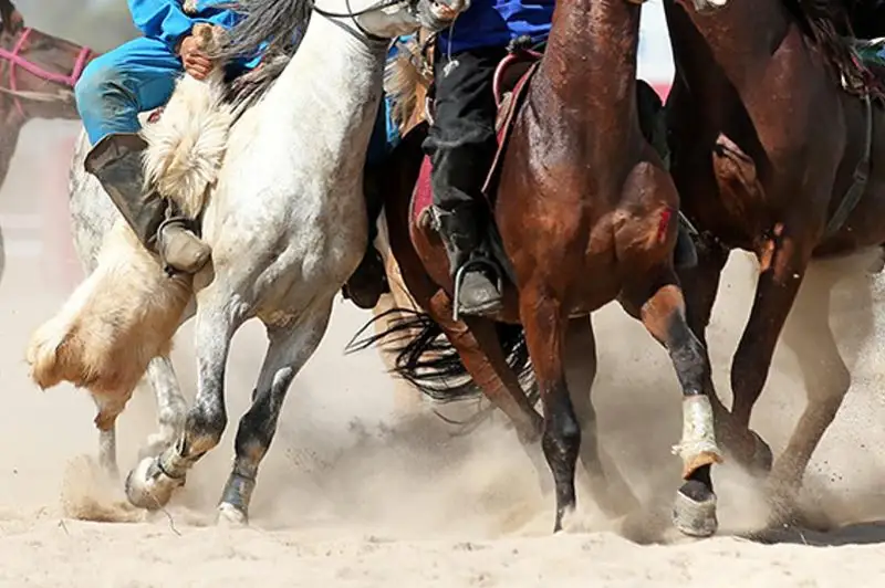 Кокпар с участием 200 человек выявили полицейские Туркестанской области