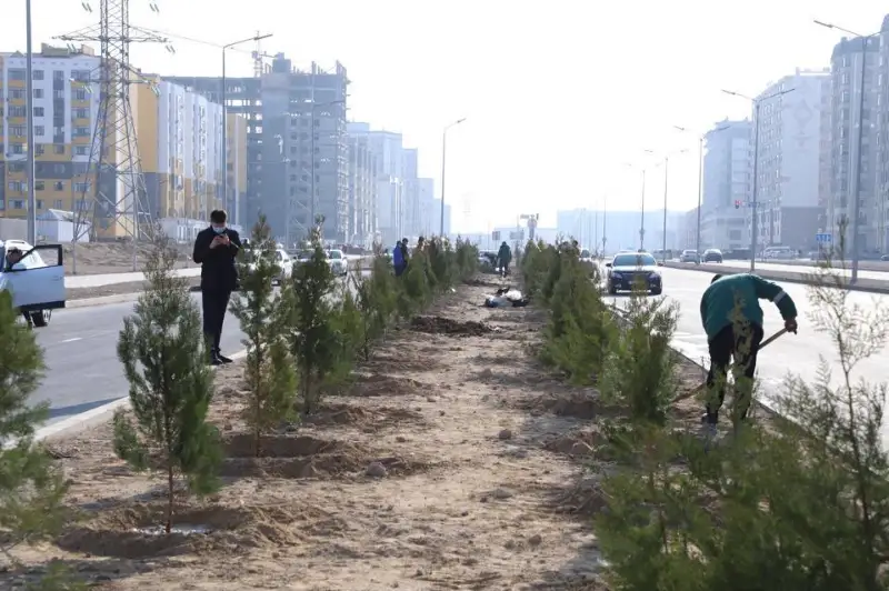 Проект «Таза табиғат»: в Мангистауской области высадили около 2500 деревьев