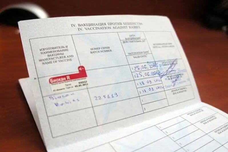 Можно ли подделать прививочные паспорта