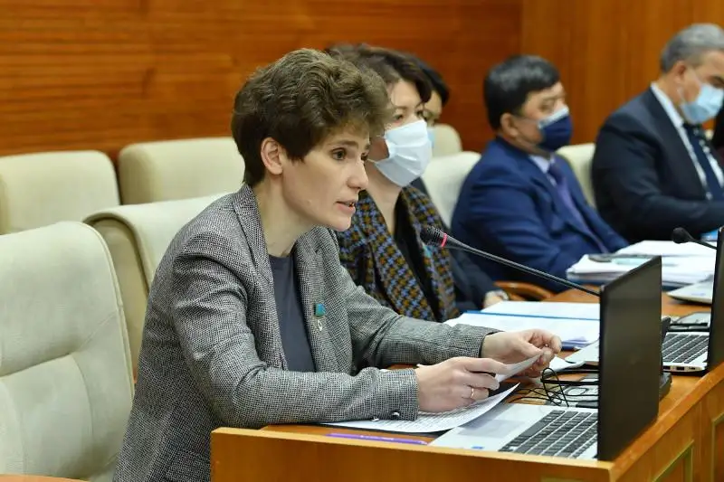 Вопрос зарплат медиков детсадов и школьных библиотекарей подняли депутаты Мажилиса