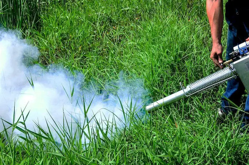 Водоемы столицы проверяют на наличие личиночной формы комаров