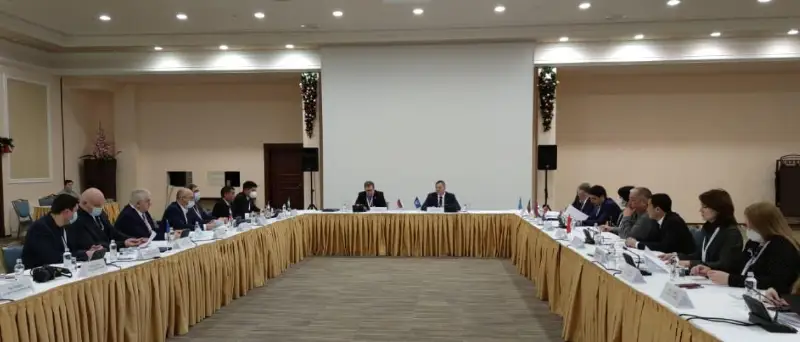 Наблюдатели от МПА СНГ обсудили особенности мониторинга парламентских выборов в РК