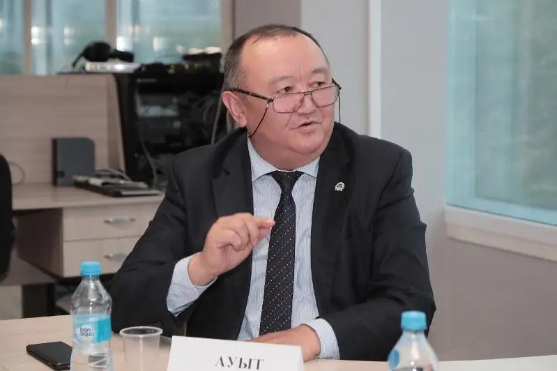 Президент поднял вопросы касательно жизни и быта простого народа - Ауыт Мухибек