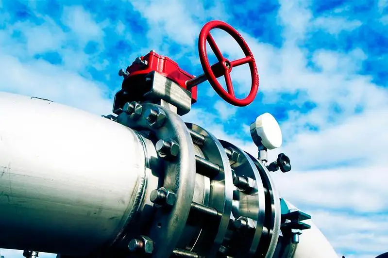 Разумный тариф на газ даст возможность реконструировать газопроводы - председатель совета ветеранов газовой отрасли