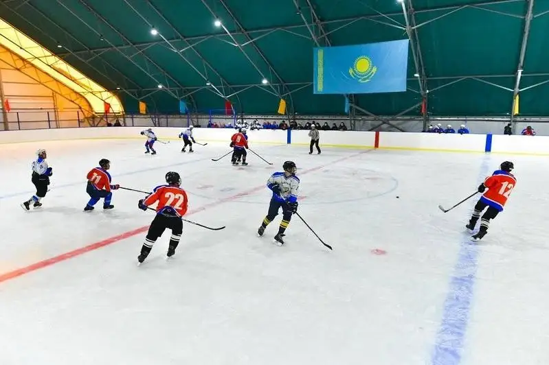 Семь хоккейных кортов начнут строить в этом году в СКО