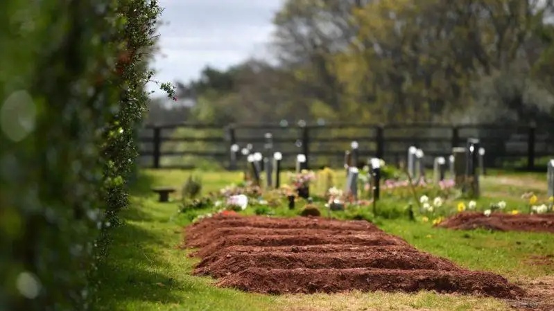 Коронавирус в мире: число заболевших около 59 млн, умерших - почти три млн