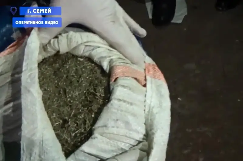 Партию наркотиков на 100 млн тенге изъяли в Семее