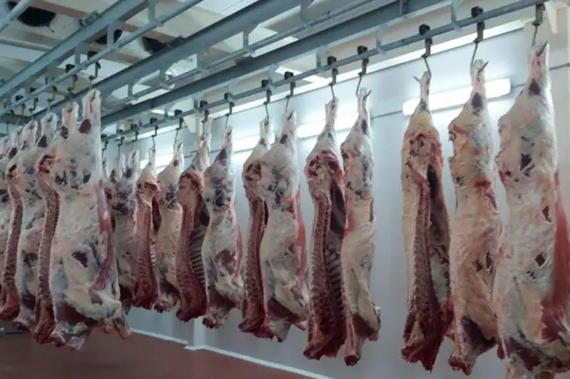 Мясная продукция жамбылского предприятия конкурирует с новозеландской