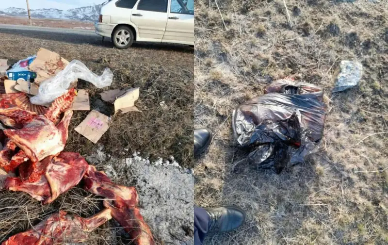 В ВКО мужчина не смог продать мясо и выкинул туши возле трассы