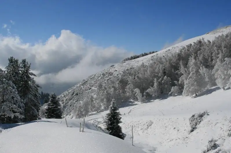 Поиски потерявшегося мужчины ведутся в горах Алматы