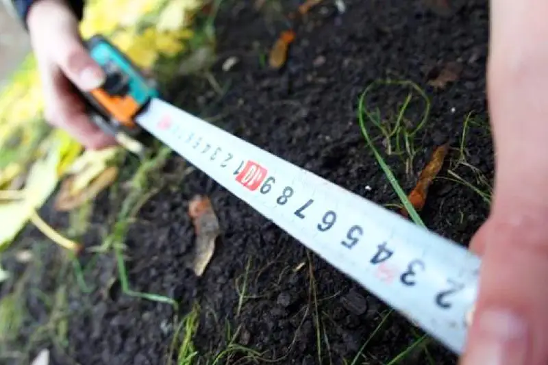 Предоставить преимущественное право продления аренды для землепользователей предлагают в Казахстане