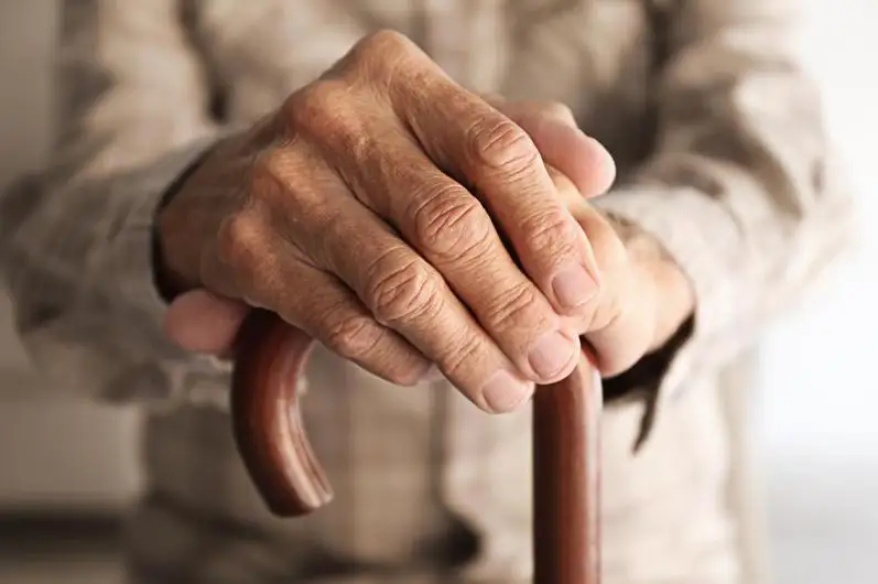 Пьяный хулиган избил 85-летнего пенсионера в Алматинской области