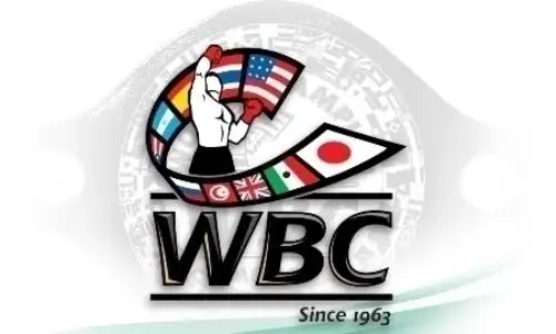 Садриддин Ахмедов взлетел в рейтинге WBC