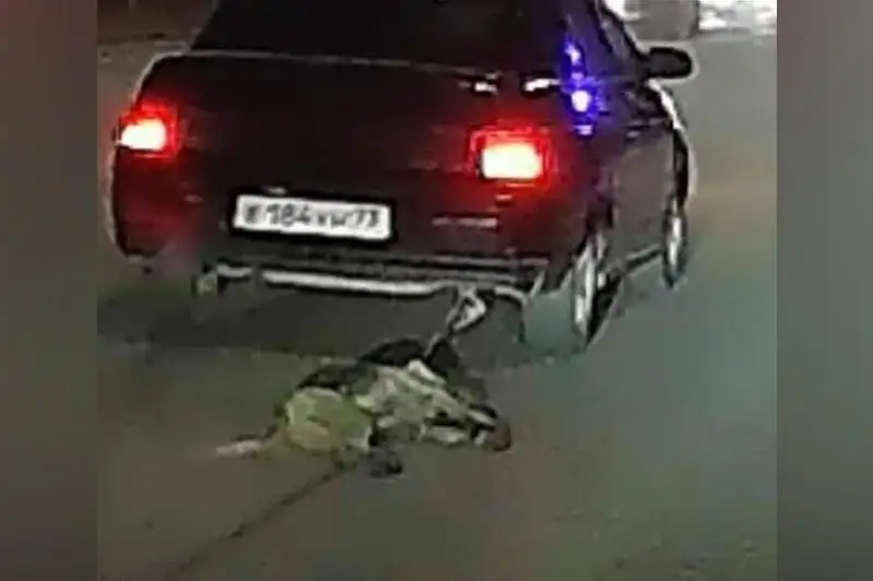 Водитель с привязанной за бампер машины собакой задержан в Атырау