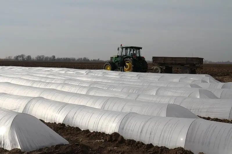 Посевная кампания началась в Мактаарале