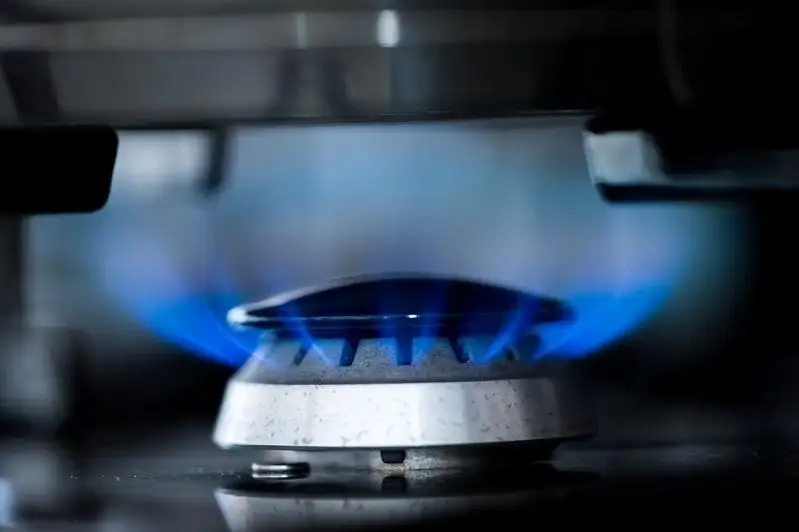 При низком тарифе на газ инвестировать в отрасль невыгодно - экономист