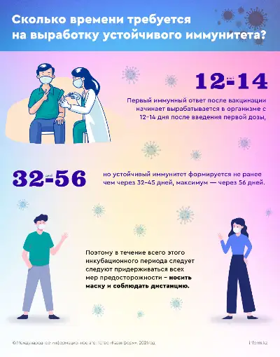 Сколько времени требуется на выработку устойчивого иммунитета?