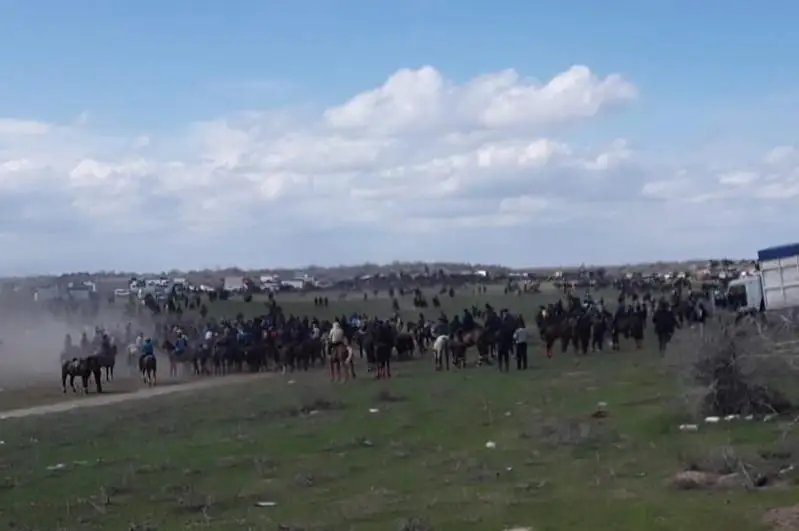 48 кокпаров остановили с начала года полицейские в Туркестанской области