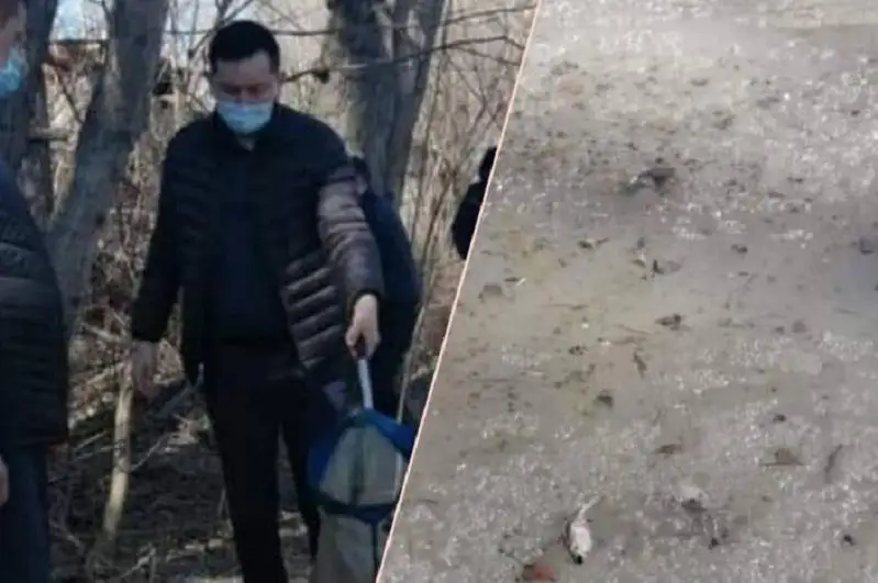 Причину гибели рыбы в реке Иртыш изучают экологи