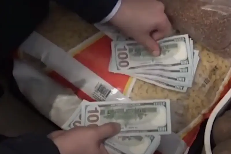 Преступную группу по выписке фиктивных документов задержали в Павлодарской области