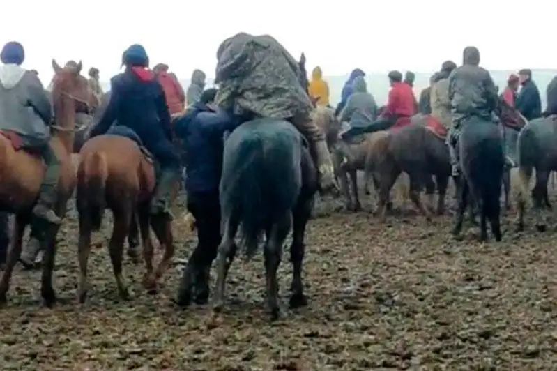 Кокпар с участием более 100 человек остановили туркестанские полицейские
