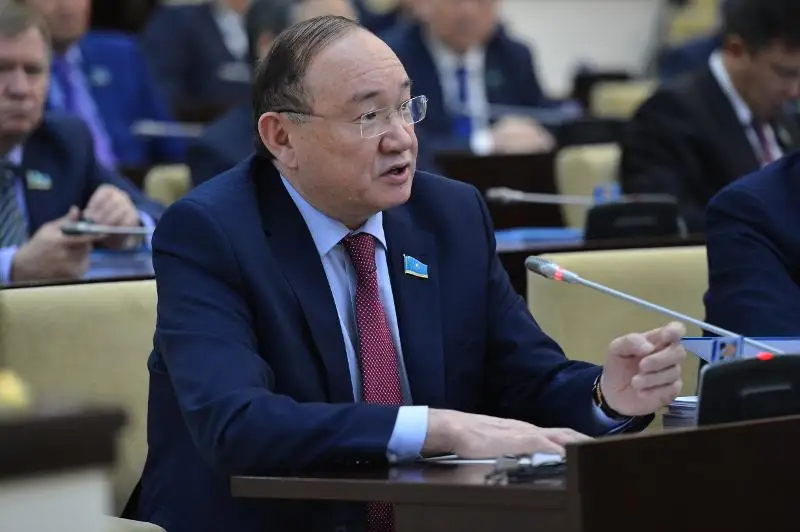 В Туркестанской области не хватает полицейских – депутат