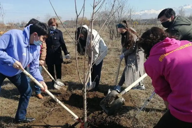 Женщины-депутаты маслихата посадили деревья в канун 8 марта в Алматы
