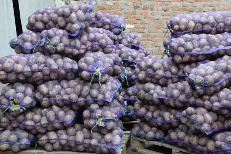 Тонны чужого картофеля продал работник товарищества в Павлодаре