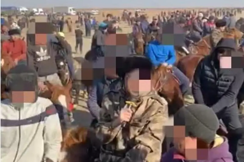 Два кокпара с 300 участниками остановили полицейские в Туркестанской области