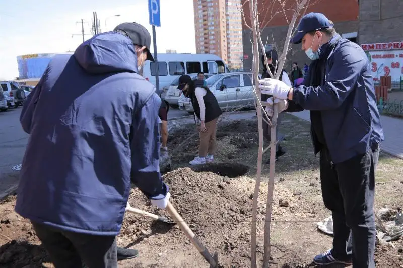 30 деревьев высадили на территории столичного жилого комплекса