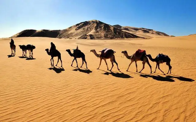 В ЮНЕСКО объявили о грантах для молодых ученых на изучение наследия Великого шелкового пути