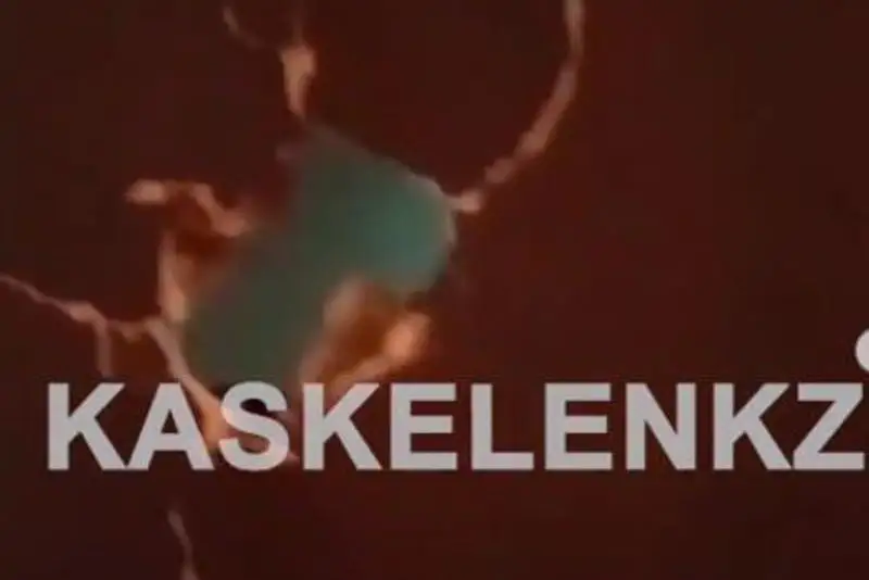 В мужчину стреляли в поселке близ Алматы: полиция ищет подозреваемого