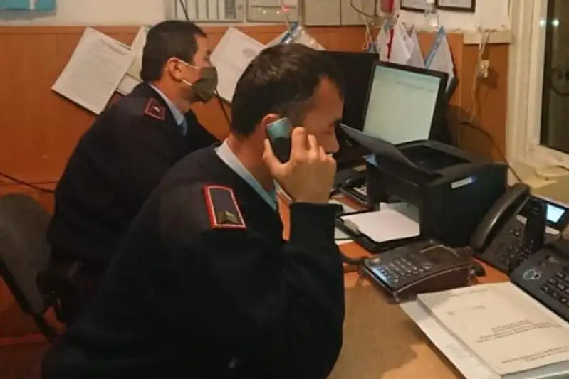 80 млн тенге отдали аферистке за «помощь» в получении госсубсидий туркестанцы