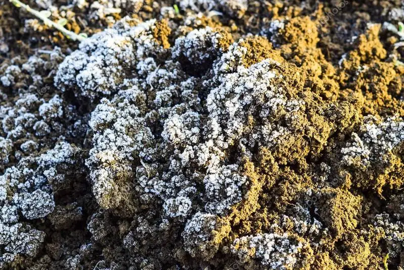 Более чем на один метр промерзла почва в СКО