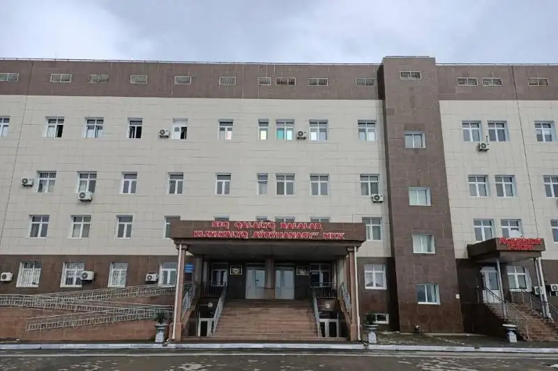 Шымкентские врачи извлекли комок волос из желудка 4-летней девочки