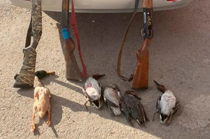 Охотившихся на диких уток браконьеров задержали в Туркестанской области