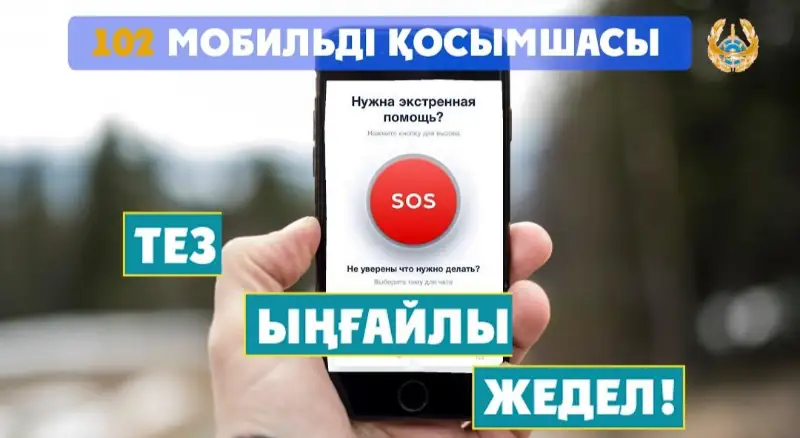 Мобильное приложение «102» запустили в ВКО