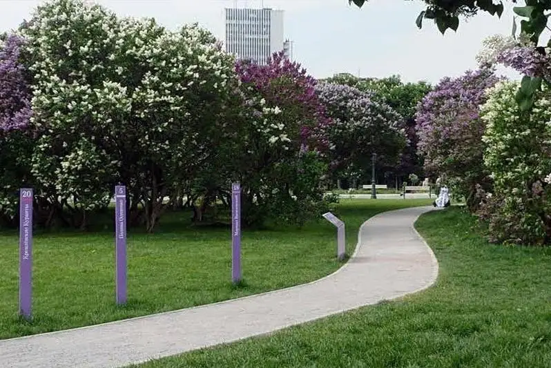 Сиреневый сад появится в Нур-Султане