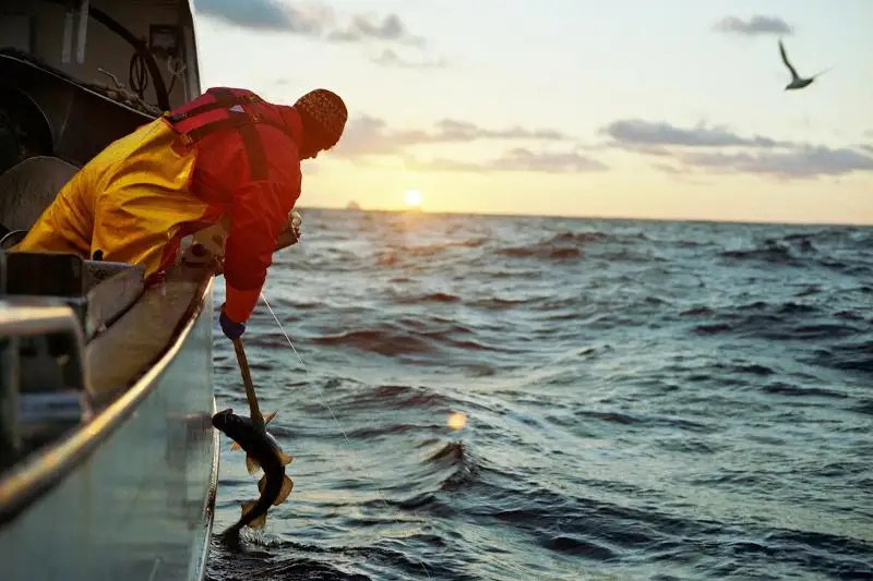 Выходить на Каспий круглосуточно разрешат рыбакам