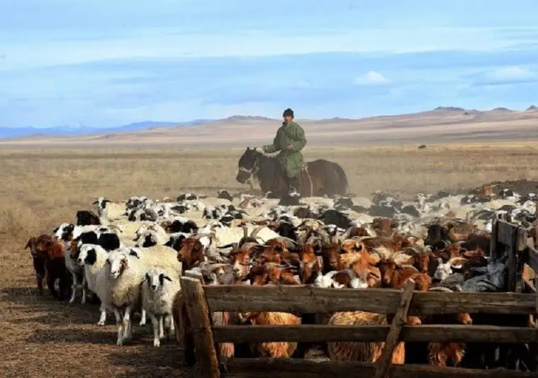 Карту землепользования разработают в Жамбылской области