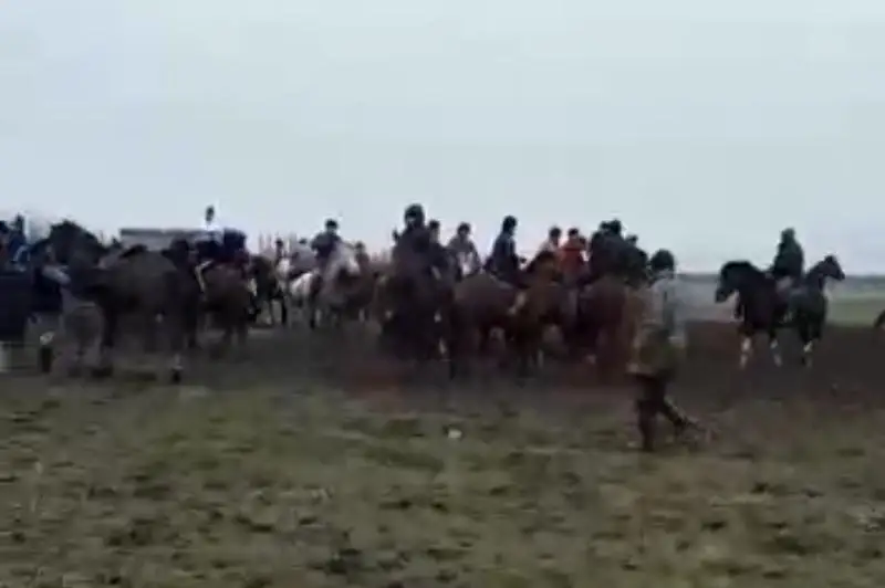 Проведение кокпара на 150 человек остановили в Туркестанской области