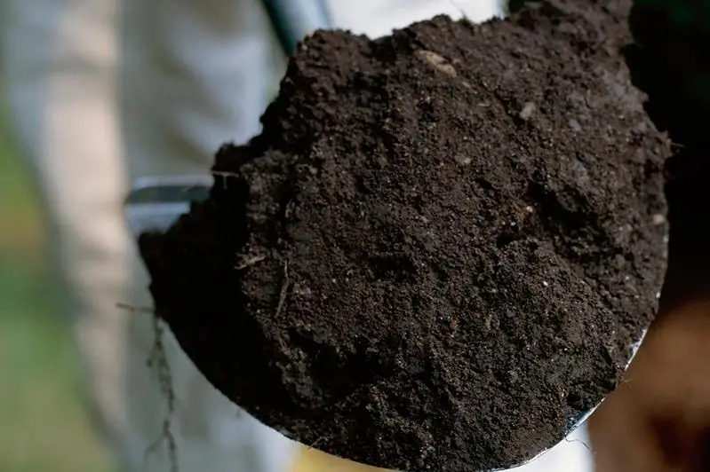 Чернозем незаконно продолжают вывозить в предгорьях Алматы