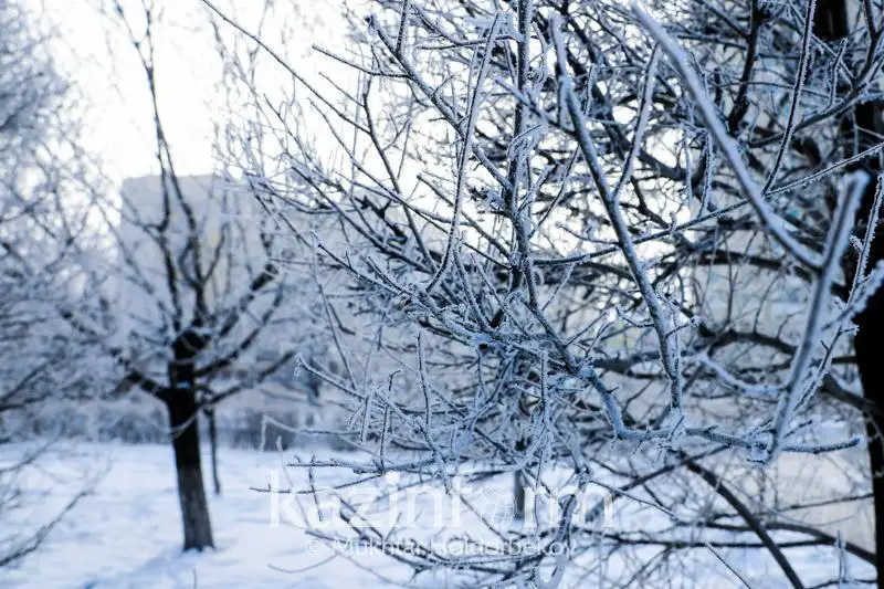 Морозы принес антициклон из Москвы в СКО