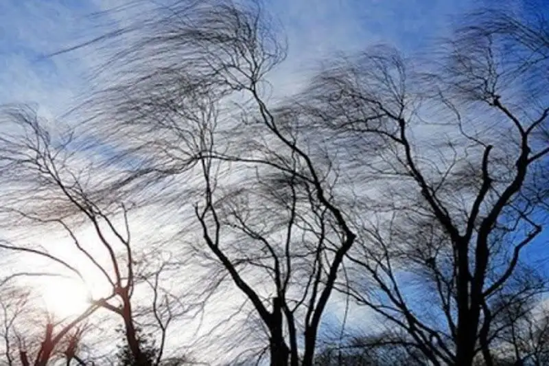 О штормовом ветре предупредили жителей Атырауской области