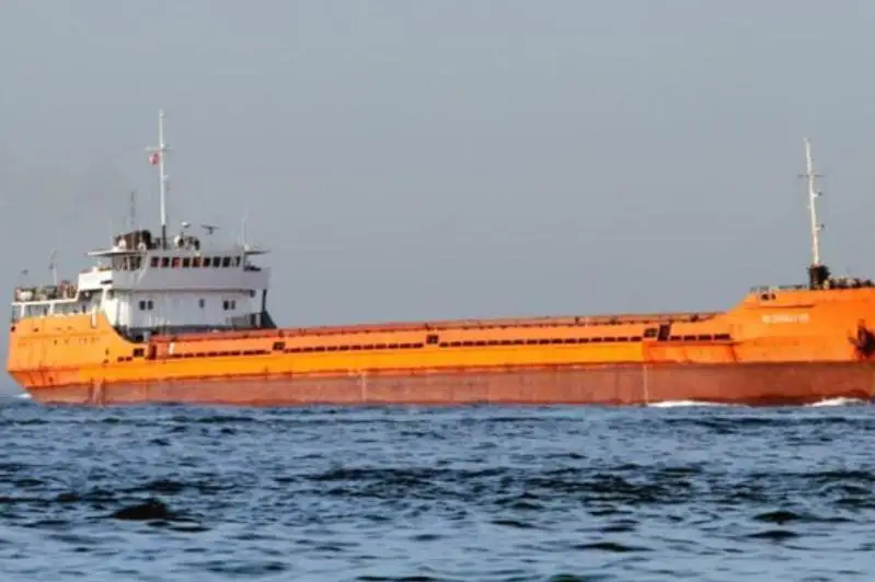 У берегов Румынии затонул сухогруз, есть погибшие