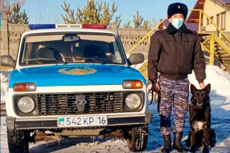 Свыше 30 преступлений раскрыто с помощью служебных собак в ВКО