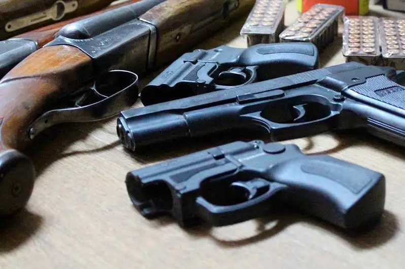 Как зарегистрировать оружие в режиме онлайн – полиция СКО