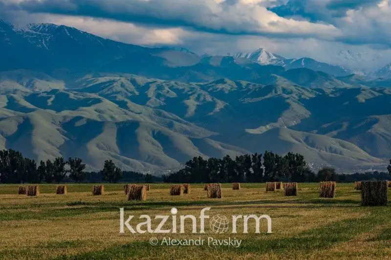 Аскар Мамин оценил потенциал развития АПК Казахстана